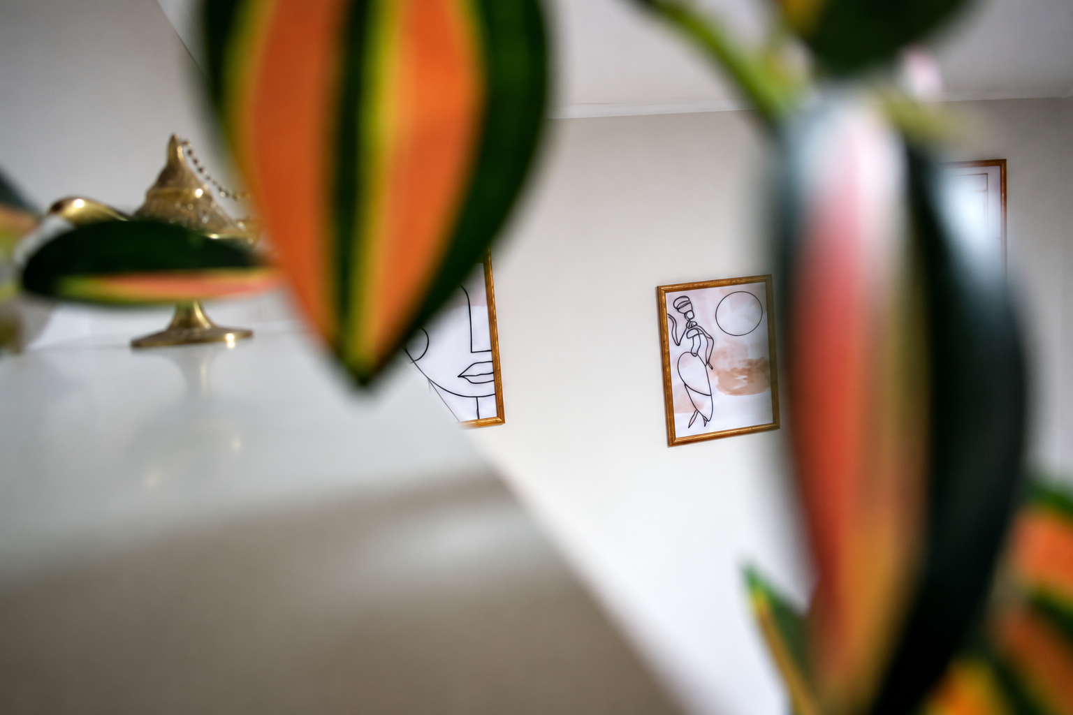 Detalj ambijenta salona kroz lišće biljke
